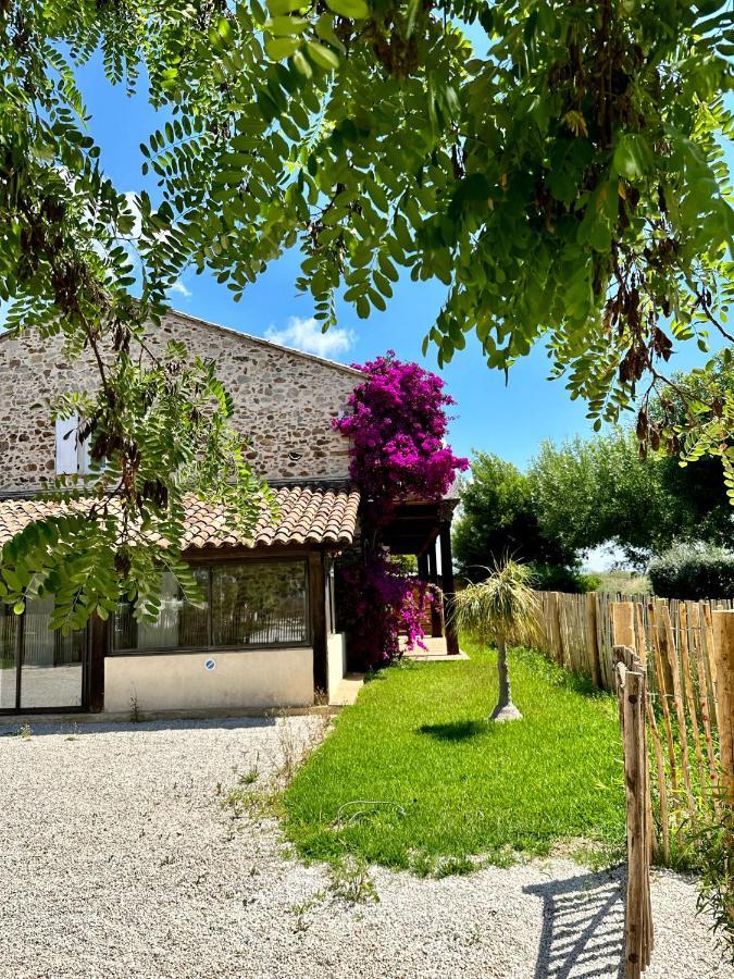 Grand Studio A 5Mns De La Plage Des Salins Hyères Exteriör bild